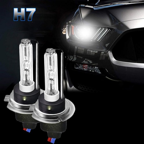 Hid xenon headlight - xenon, car